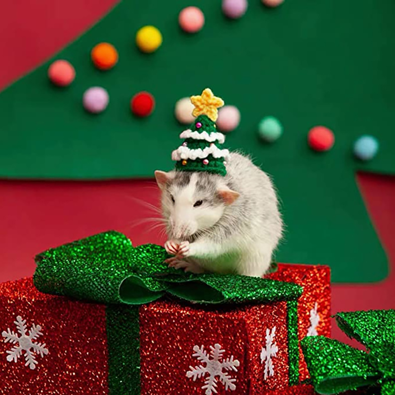 Hand Woven Pet Christmas Hat D - Santa Hat Plush recensie en prijs