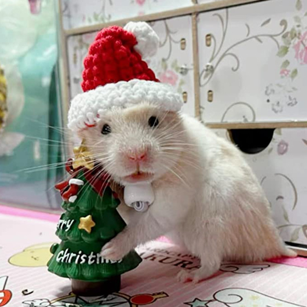 Hand Woven Pet Christmas Hat D - Santa Hat Plush recensie en prijs