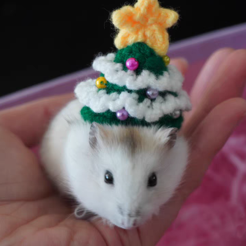 Hand Woven Pet Christmas Hat D - Santa Hat Plush recensie en prijs