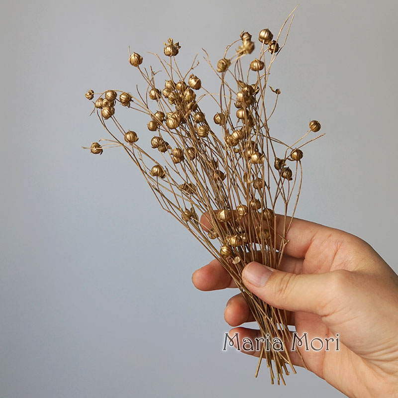 5g Preserved Flax Bean Natural - Holiday Candle Set recensie en prijs
